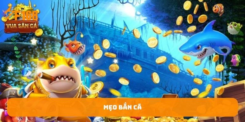 meo-ban-ca